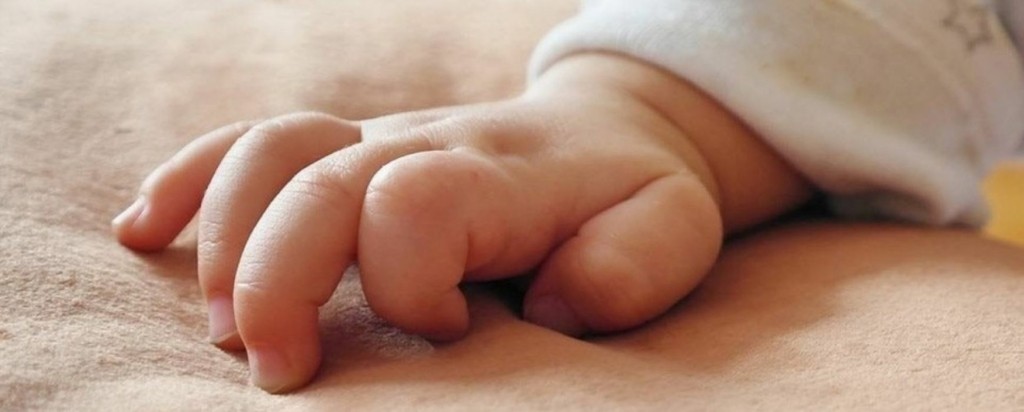 vrefos_new-1024×412