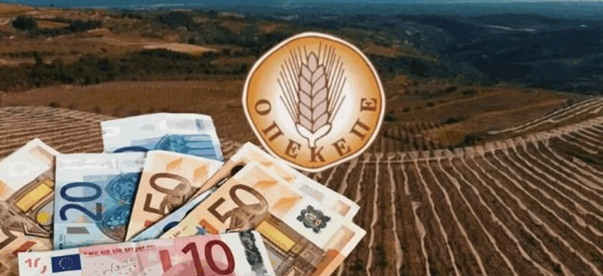 opekepe-skandalo-873×432-1-873×400