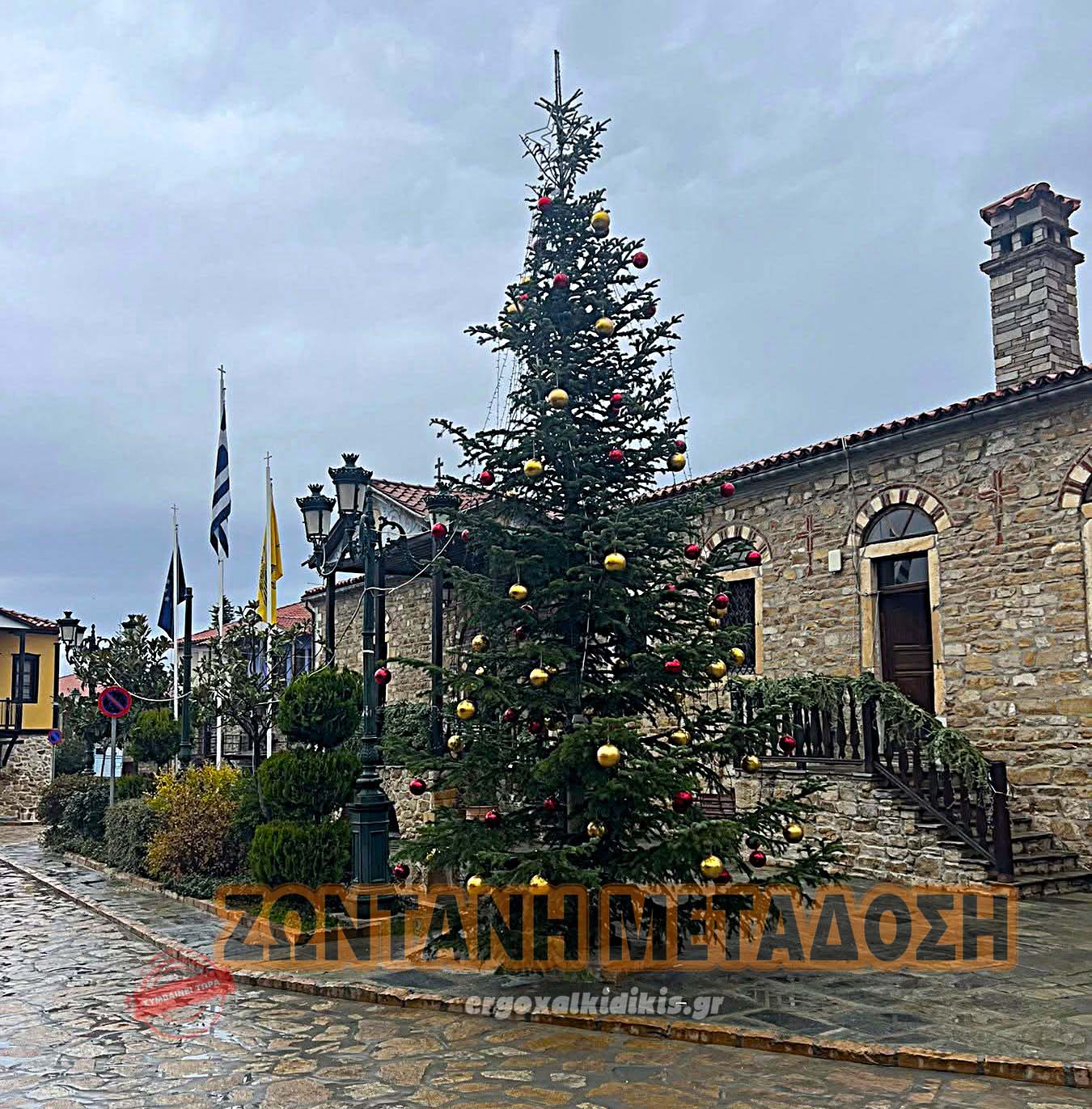 595227119_869932475594328_9153135815420884705_n