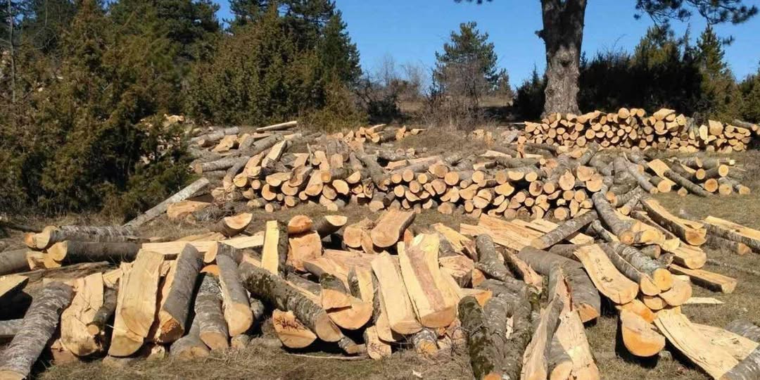 600280258_4345842645684407_8217360473137150442_n