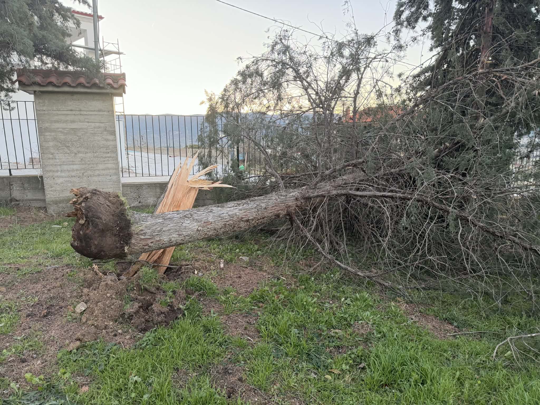 604804728_122253839066167901_1964780053175500205_n