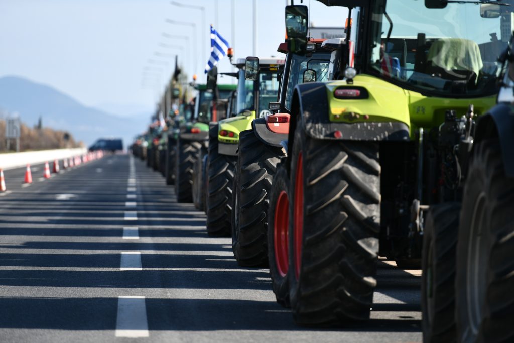 agrotes-5-1024×683