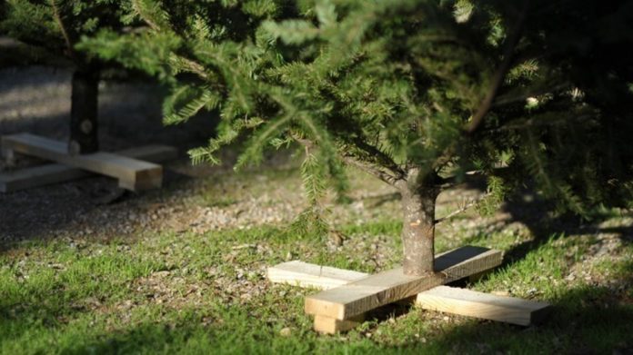 xristougen_dentro-696×391