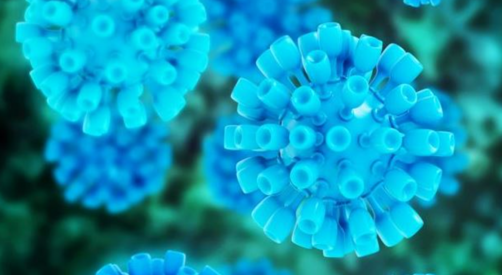 κορωνα-1024×561