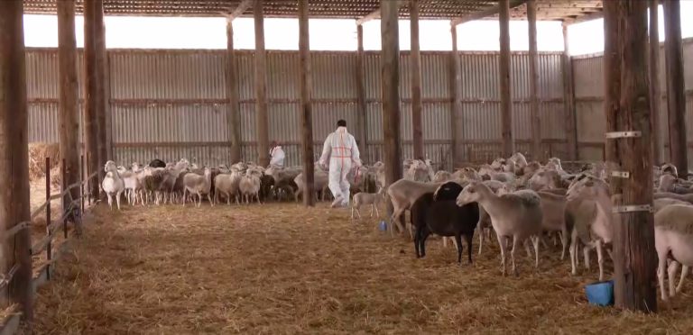 06-16-00-eylogia-antithetoi-lockdown-2-e1762521305155-768×372-1