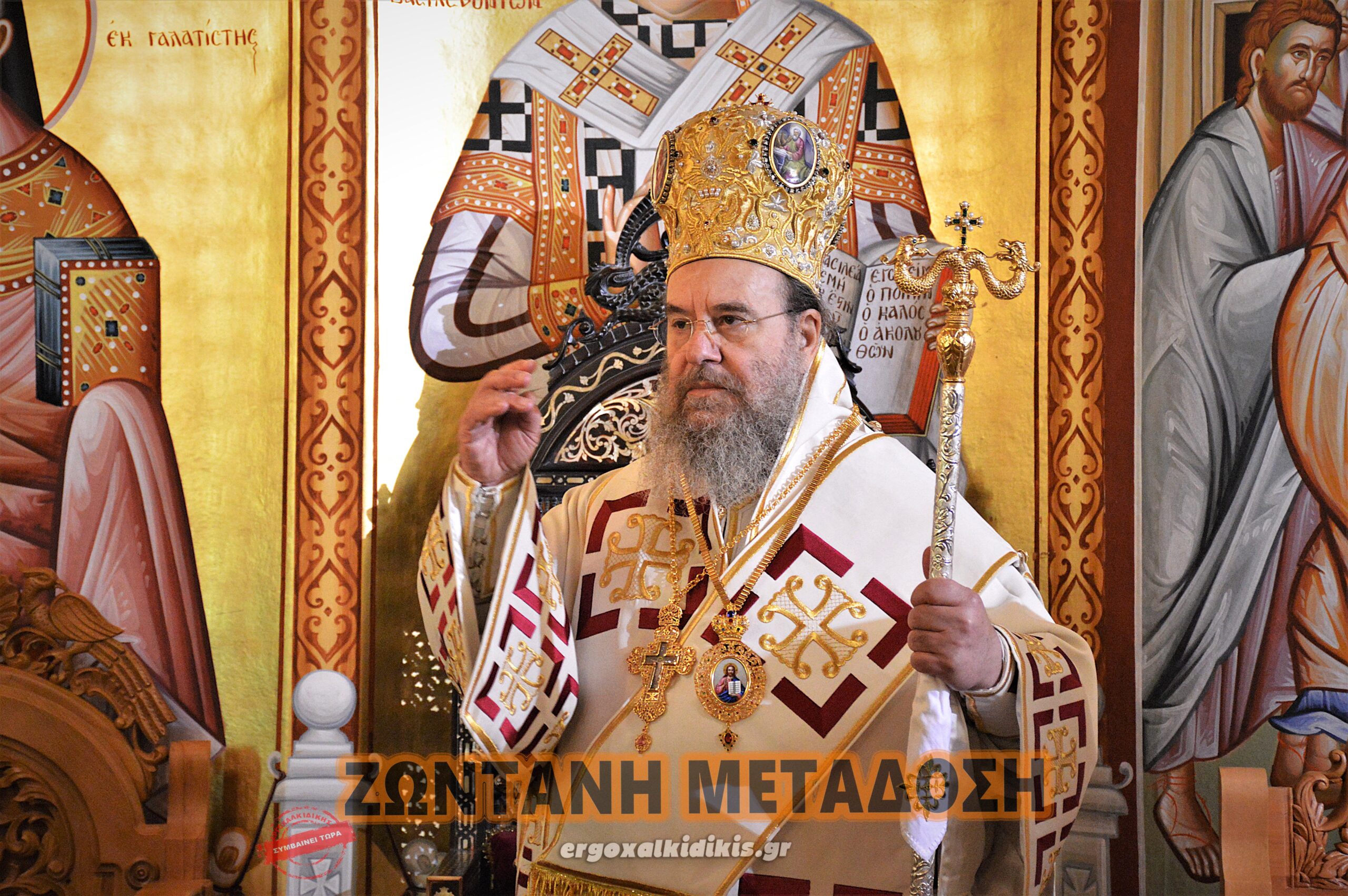 50982260541_2b2c9d20e9_o 122