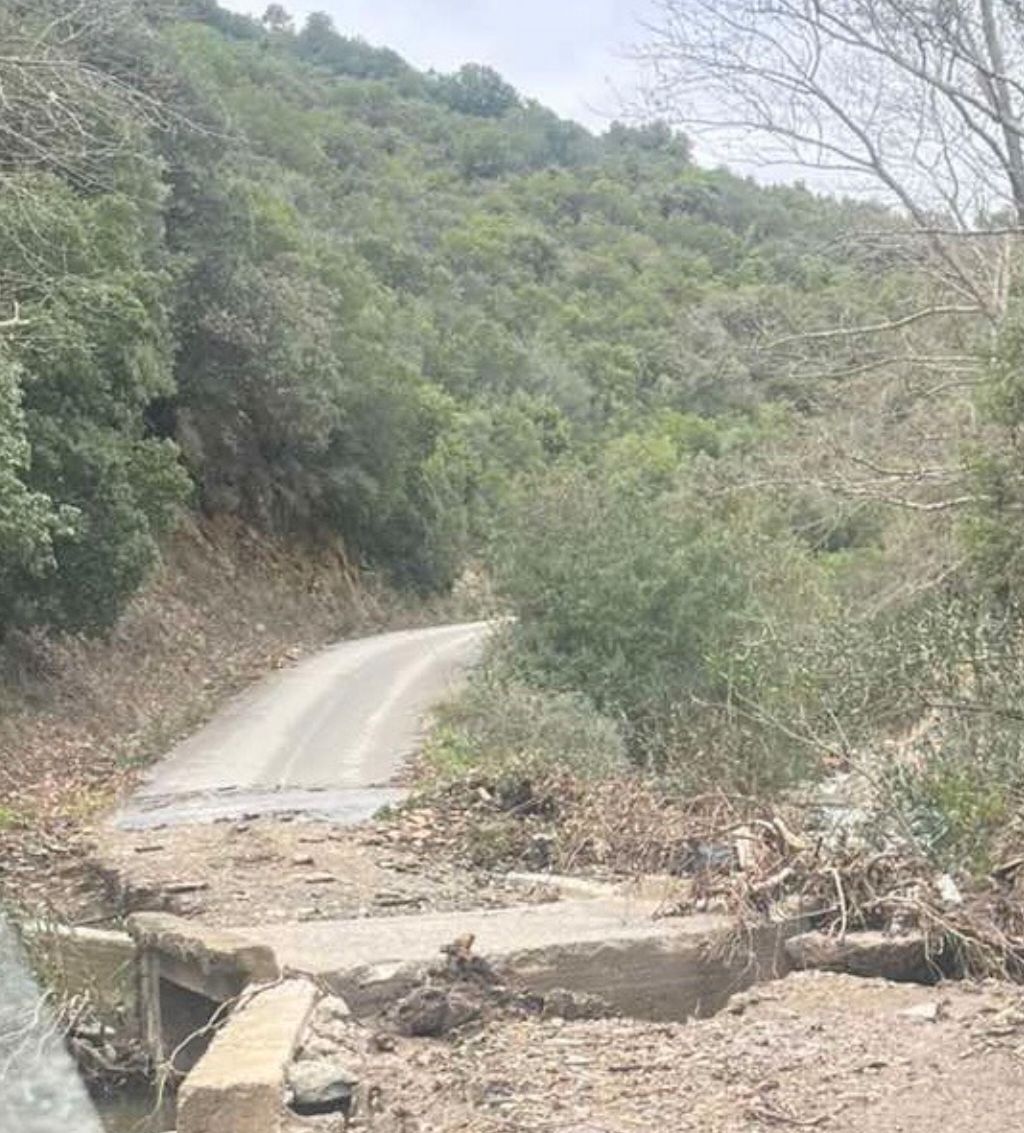 signal-2026-02-11-09-44-21-102