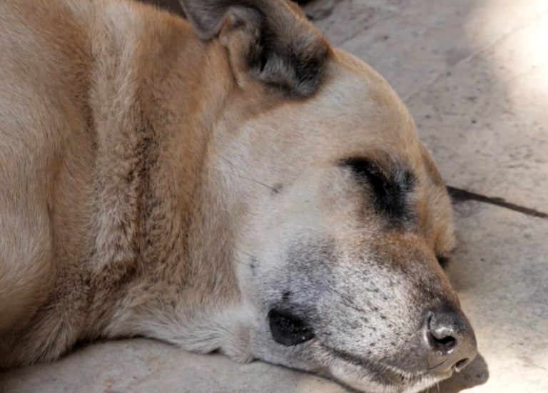 stigmiotypo-othonis-2026-02-24-141652-768×551