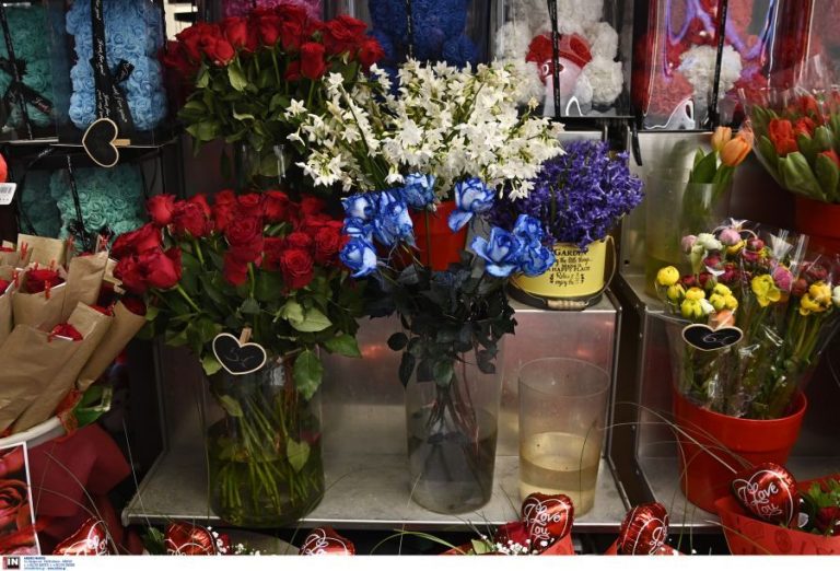 4572026-768×522-1-1