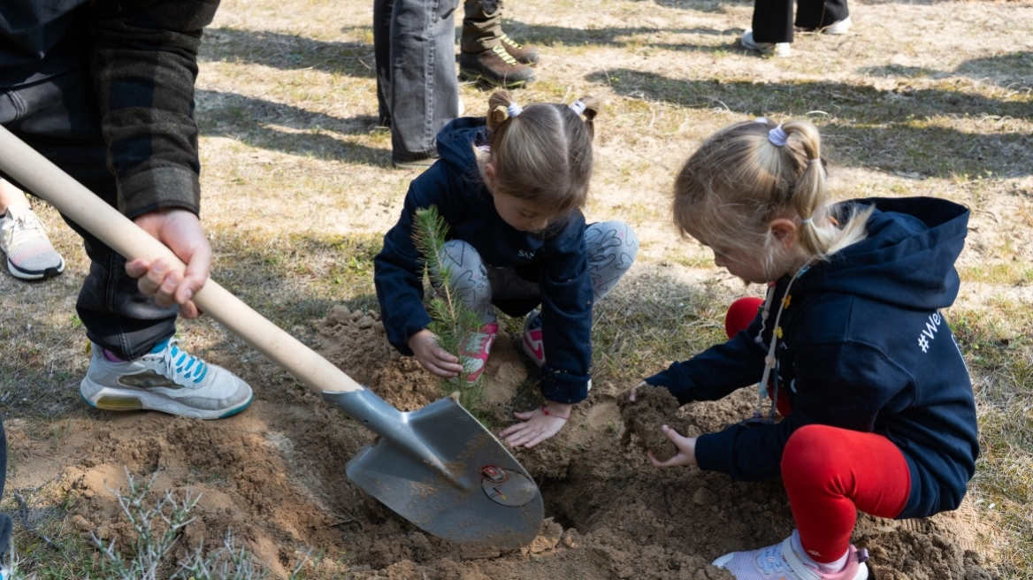 dentra-xalkidiki-new