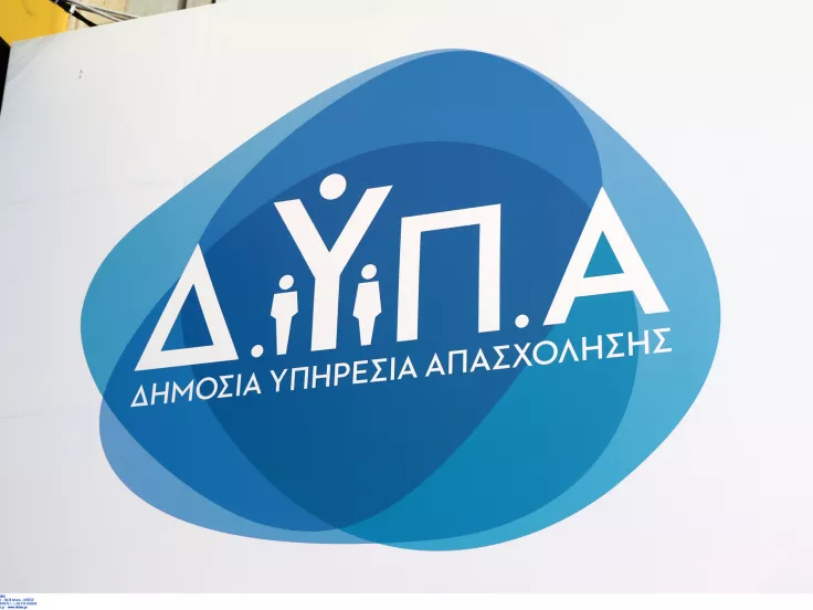 dypa-37.jpg