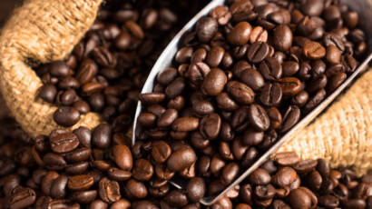 thehomeissue_coffeeseeds0-1024×585-1-410×230