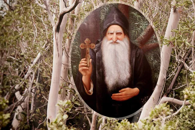 76a9a06d6f1845a295e17280890e1d71.max-2500x1500-3-775x517-1