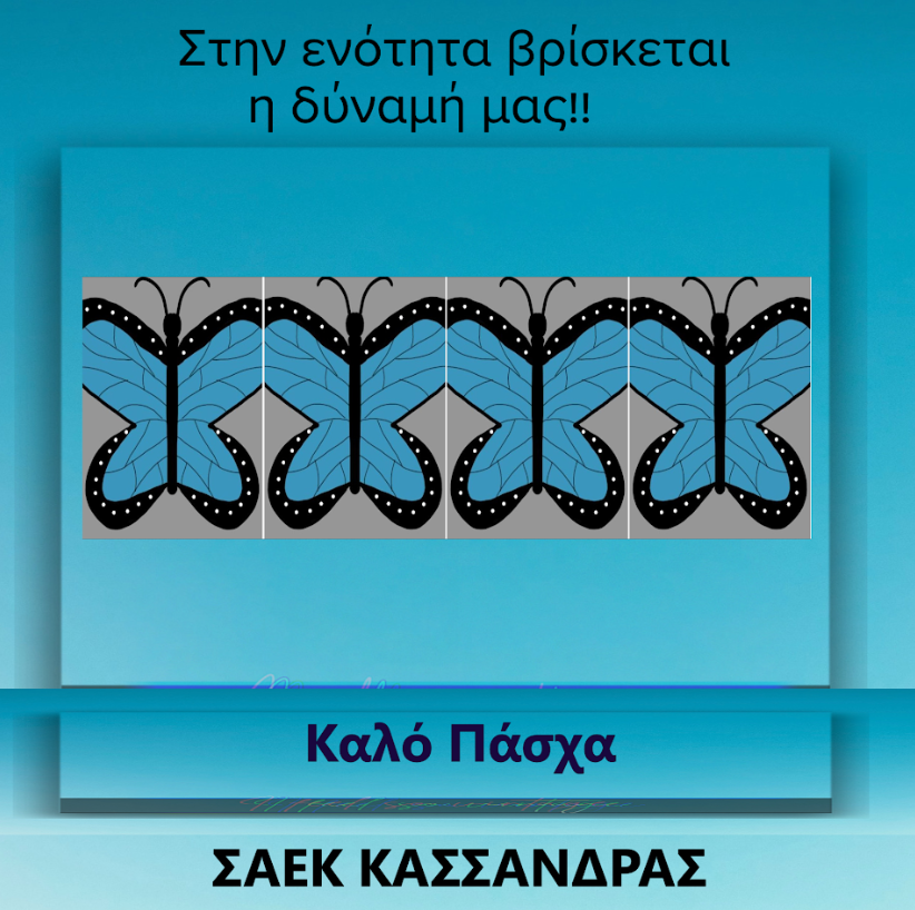 ergo saek