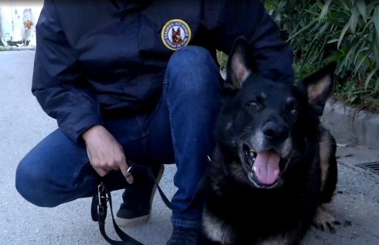 screenshot-2-20-768x498