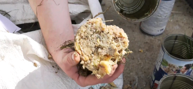 screenshot-38-4-768x357