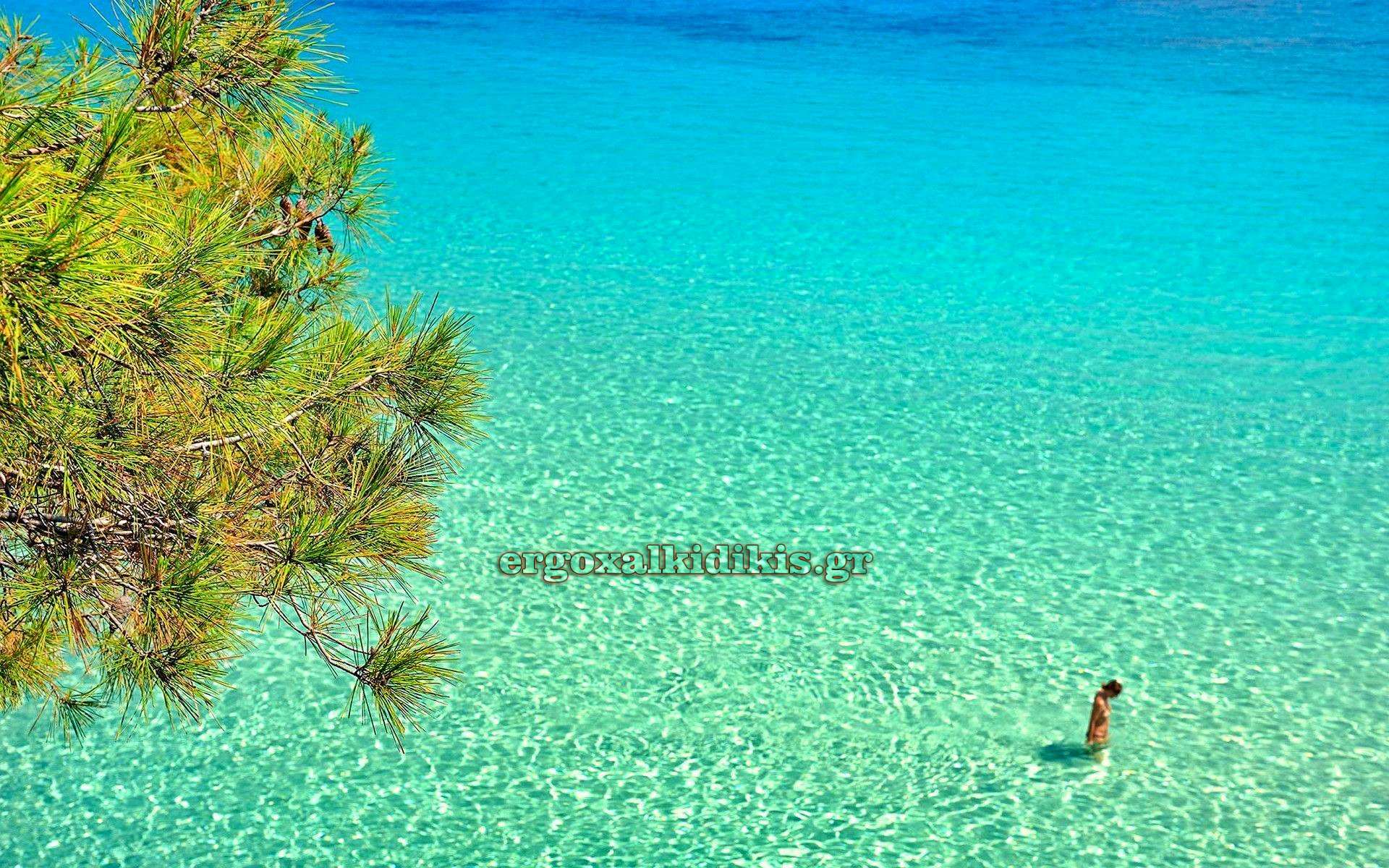 batch_Halkidiki_4