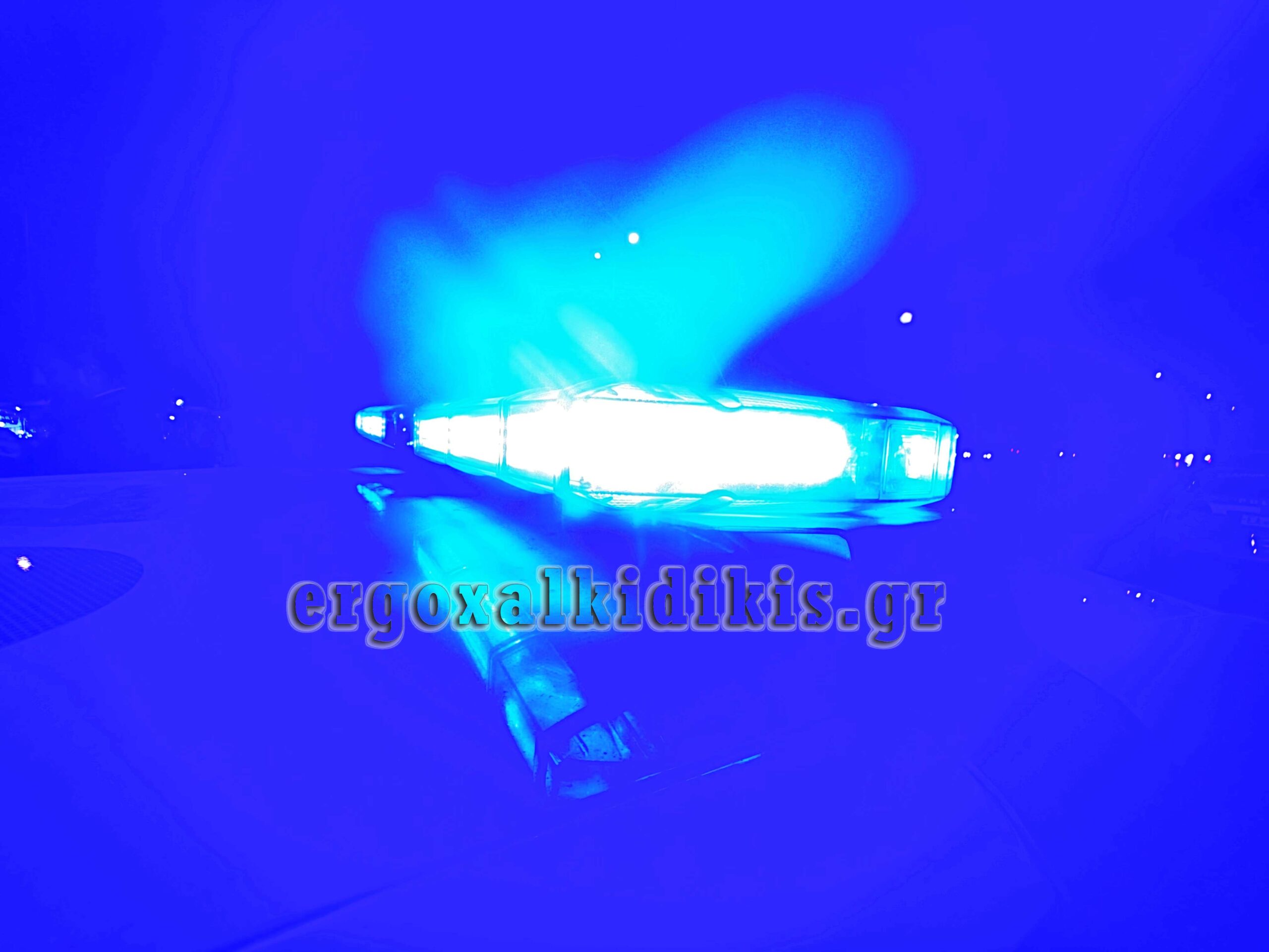 batch_IMG_7055