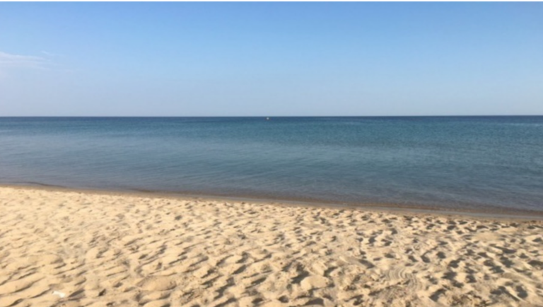 paralia-1-768x434-1
