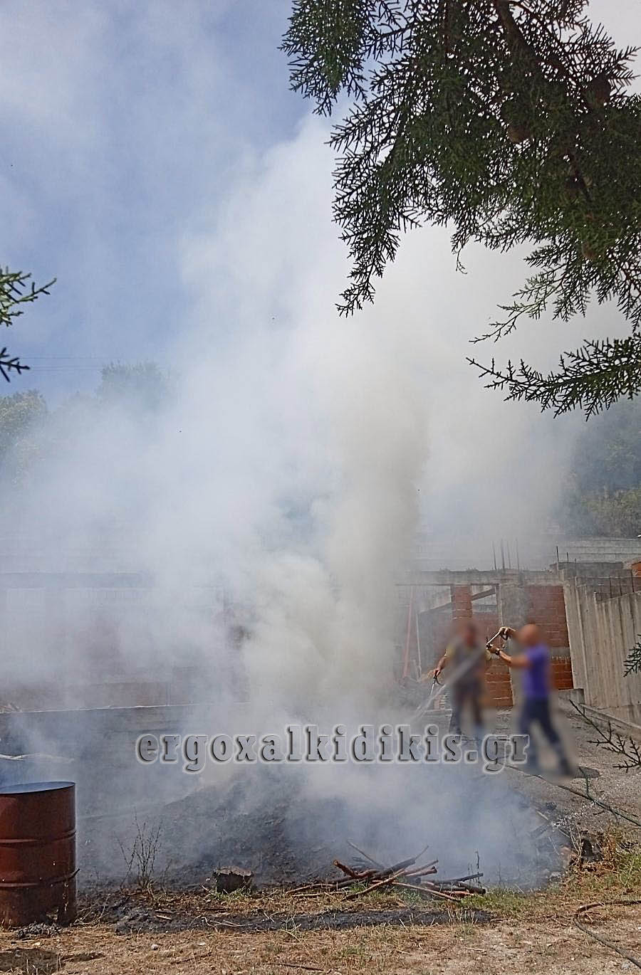 εικόνα_Viber_2026-07-27_13-55-53-255