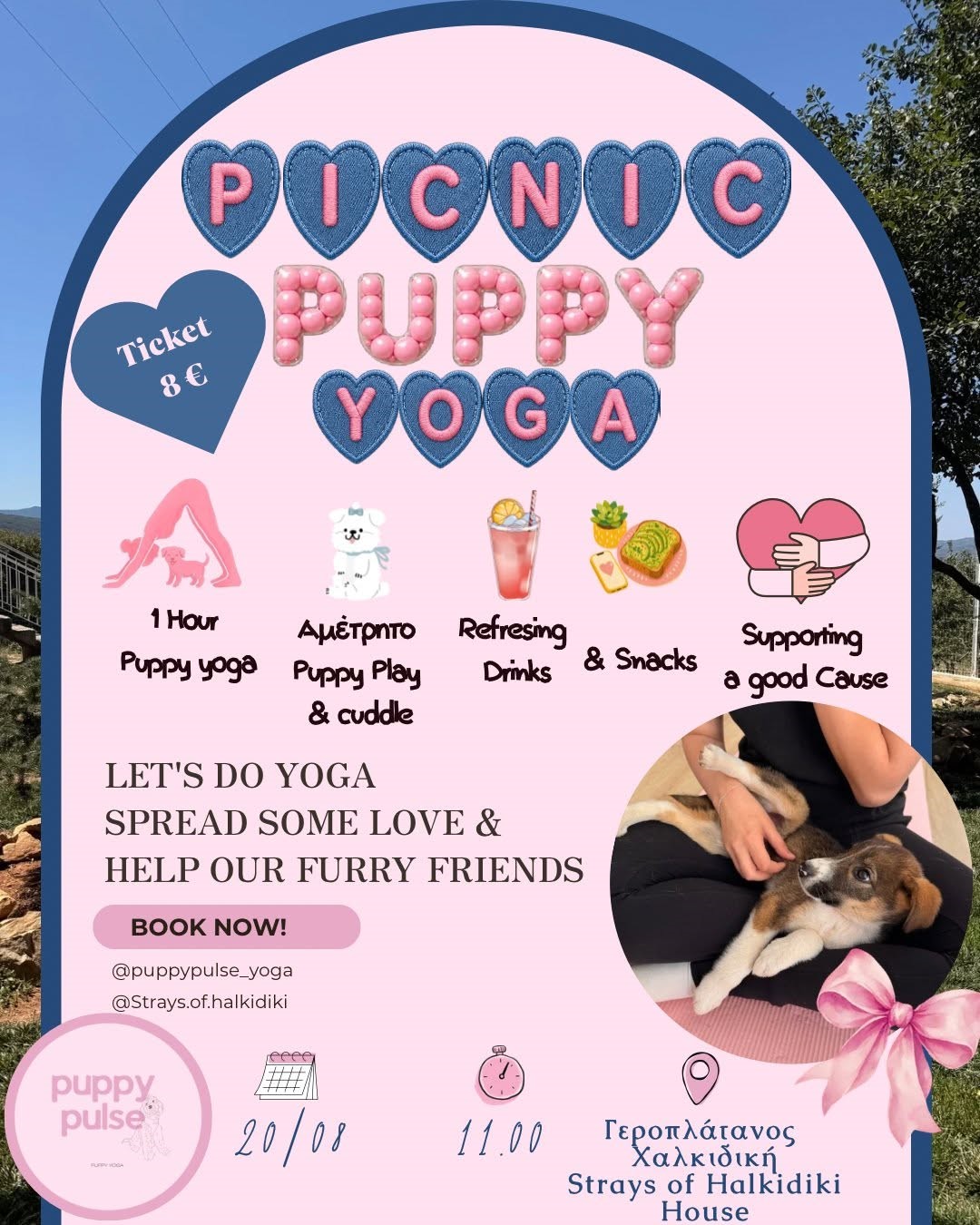 puppy